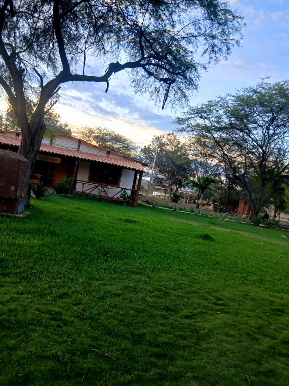 Campestre