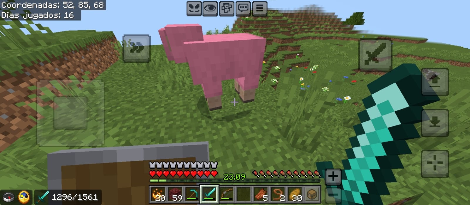 Minecraft
